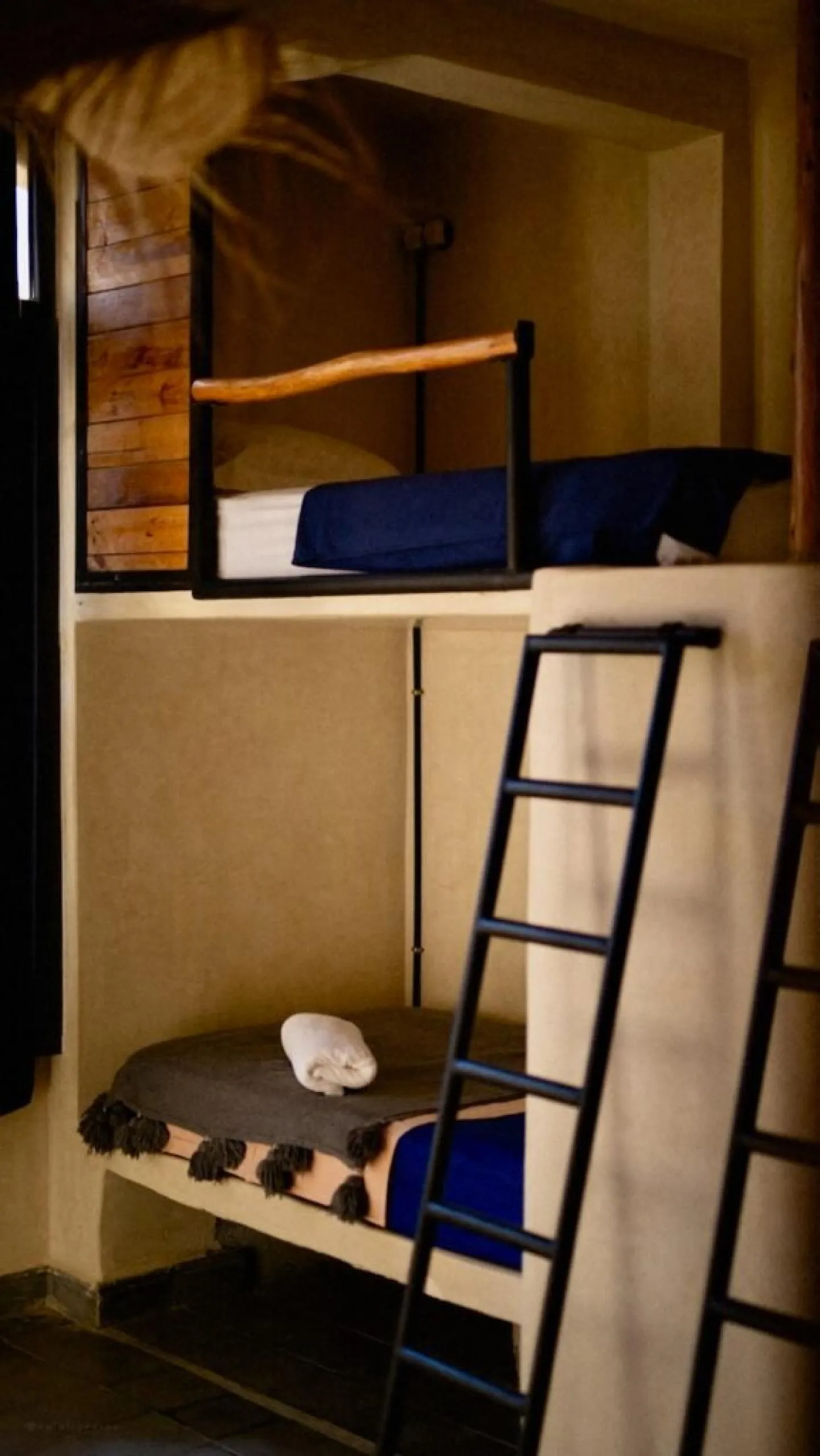 Bunk beds with a black ladder in a shared room