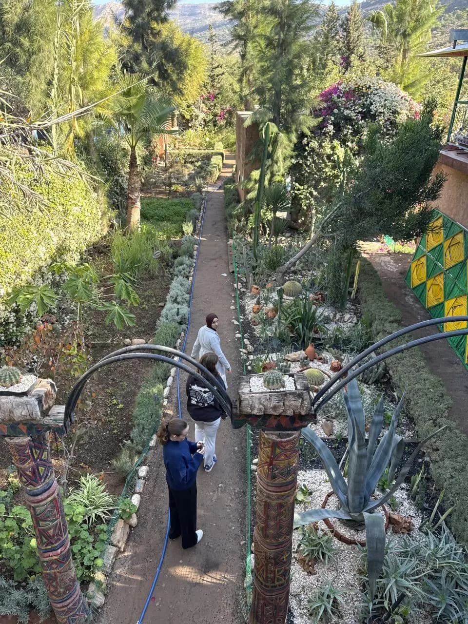 Visitors walking a garden path lined with cacti and palms in the mountains