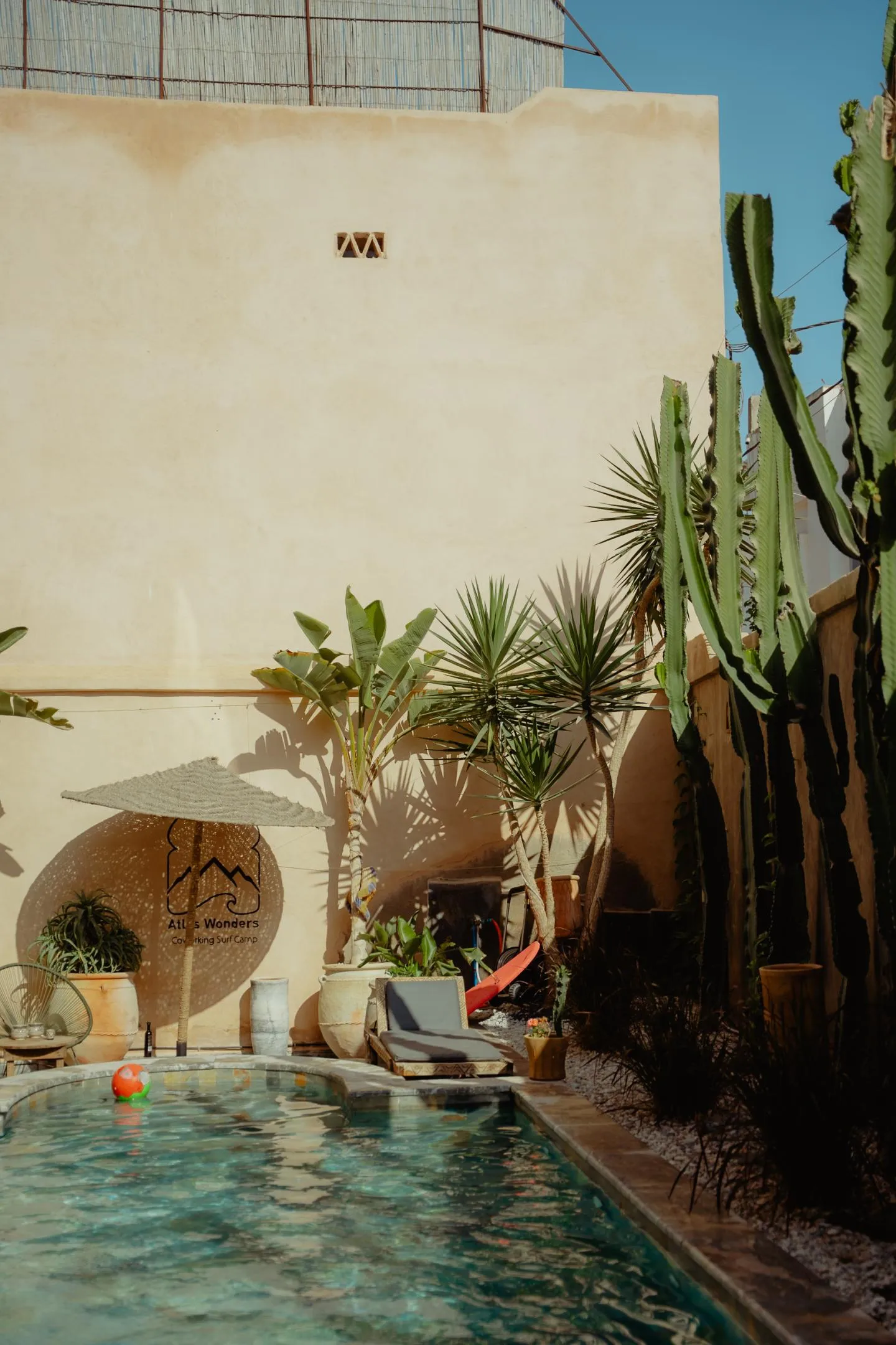 Courtyard pool framed by cacti and palms